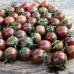 Hungry Like the Wolf Cherry Tomato