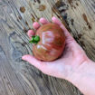 Suffer Well Beefsteak Tomato