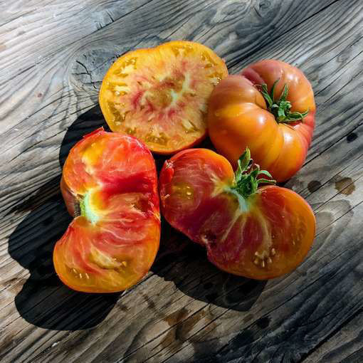 The Chauffeur Beefsteak Tomato