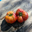 The Chauffeur Beefsteak Tomato