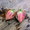 Chocolate Delight Tomato