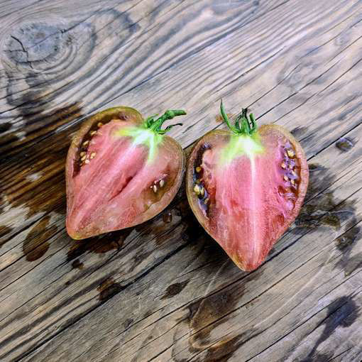 Chocolate Delight Tomato