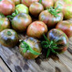 Deep Space Tomato
