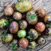 Deep Space Tomato