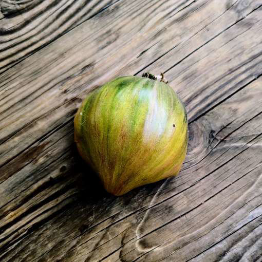 Emerald Brocade Tomato