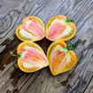 Sofia’s Ginger Comet Tomato