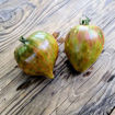 Magic Rainbow Tomato