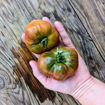 Maple Heart Tomato