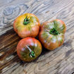 Maple Heart Tomato