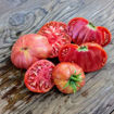 Moire Sunset Tomato