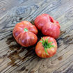 Moire Sunset Tomato