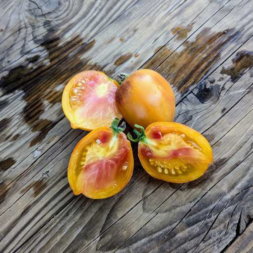 Strawberry SGT Pepper Amber Tomato