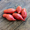 Sultans Shoes Paste Type Tomato