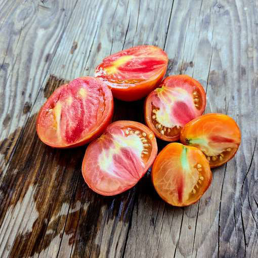 Sunny Truffle Tomato