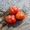 Sunny Truffle Tomato