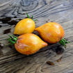 Temptation Tomato