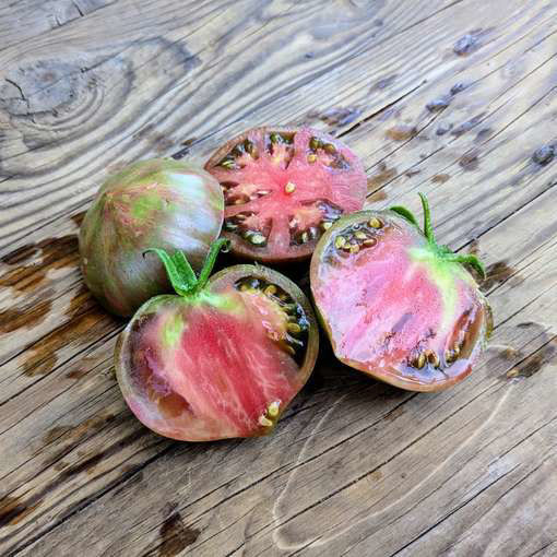 Victoria’s Salute Tomato