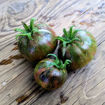 Victoria’s Salute Tomato