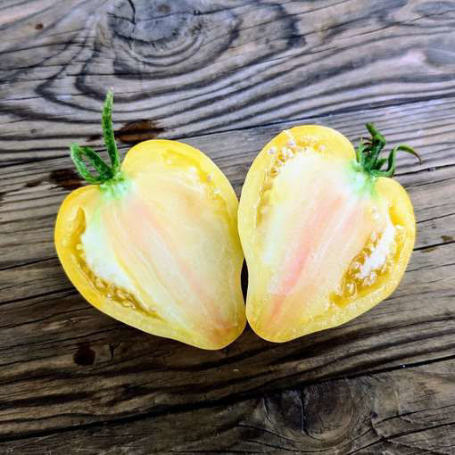 White Heart of Sofia Tomato