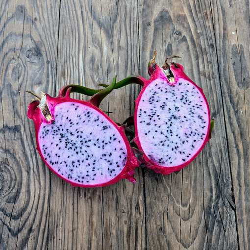 Delight Dragon Fruit Seeds