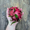 Delight Dragon Fruit Seeds
