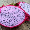 Delight Dragon Fruit Seeds