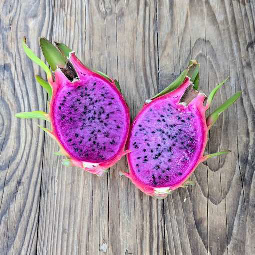 Townsend Pink Dragon Fruit Seeds