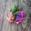 Townsend Pink Dragon Fruit Seeds