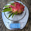 Townsend Pink Dragon Fruit Seeds