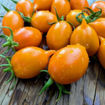 Arancio da Serbo Piennolo Longkeeper Tomato
