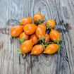 Arancio da Serbo Piennolo Longkeeper Tomato