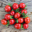 Ciliegino - Selection Claudio Prochietto Longkeeper Tomato
