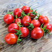Ciliegino - Selection Claudio Prochietto Longkeeper Tomato