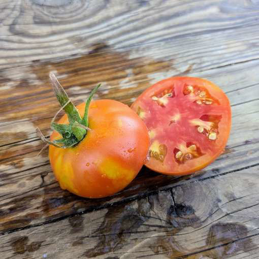 Clare’s Longkeeper Tomato