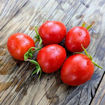 Graham’s Good Keeper Longkeeper Tomato