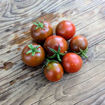 Miche’s Dunkle Lager Longkeeper Tomato