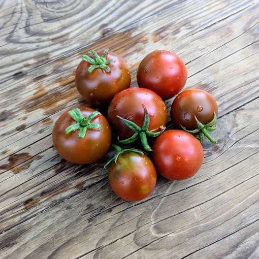 Miche’s Dunkle Lager Longkeeper Tomato