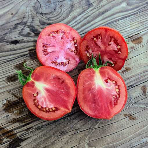 Pera de los Filabres Longkeeper Tomato
