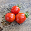 Pera de los Filabres Longkeeper Tomato