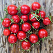 Pomodoro Pizzutello Di Paceco Longkeeper Tomato