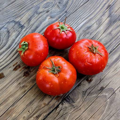 Ruby Treasure Longkeeper Tomato