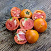 Stoney’s Neighbors Longkeeper Tomato