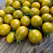 Awher Plate Tomato