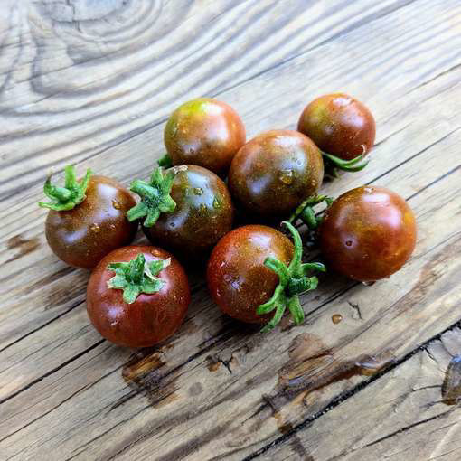 Cappuccino Cherry Tomato