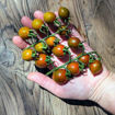 Chocolate Sprinkles Cherry Tomato