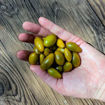 Datterino Verde Cherry Tomato