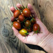 Pixie Fire Cherry Tomato