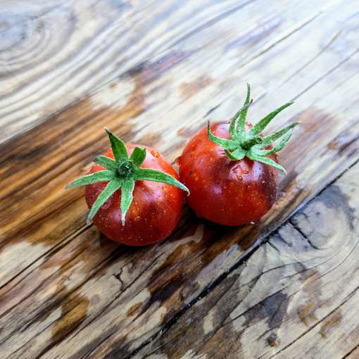 Stick Blue Cherry Tomato