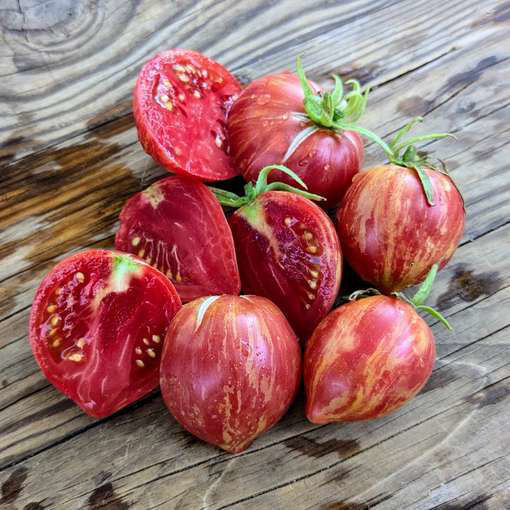 Electric Pinky Dwarf Tomato
