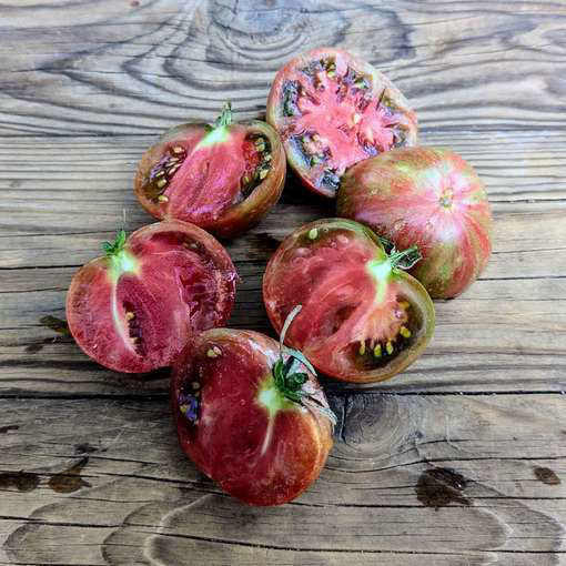 Leprechaun Lenya Dwarf Tomato